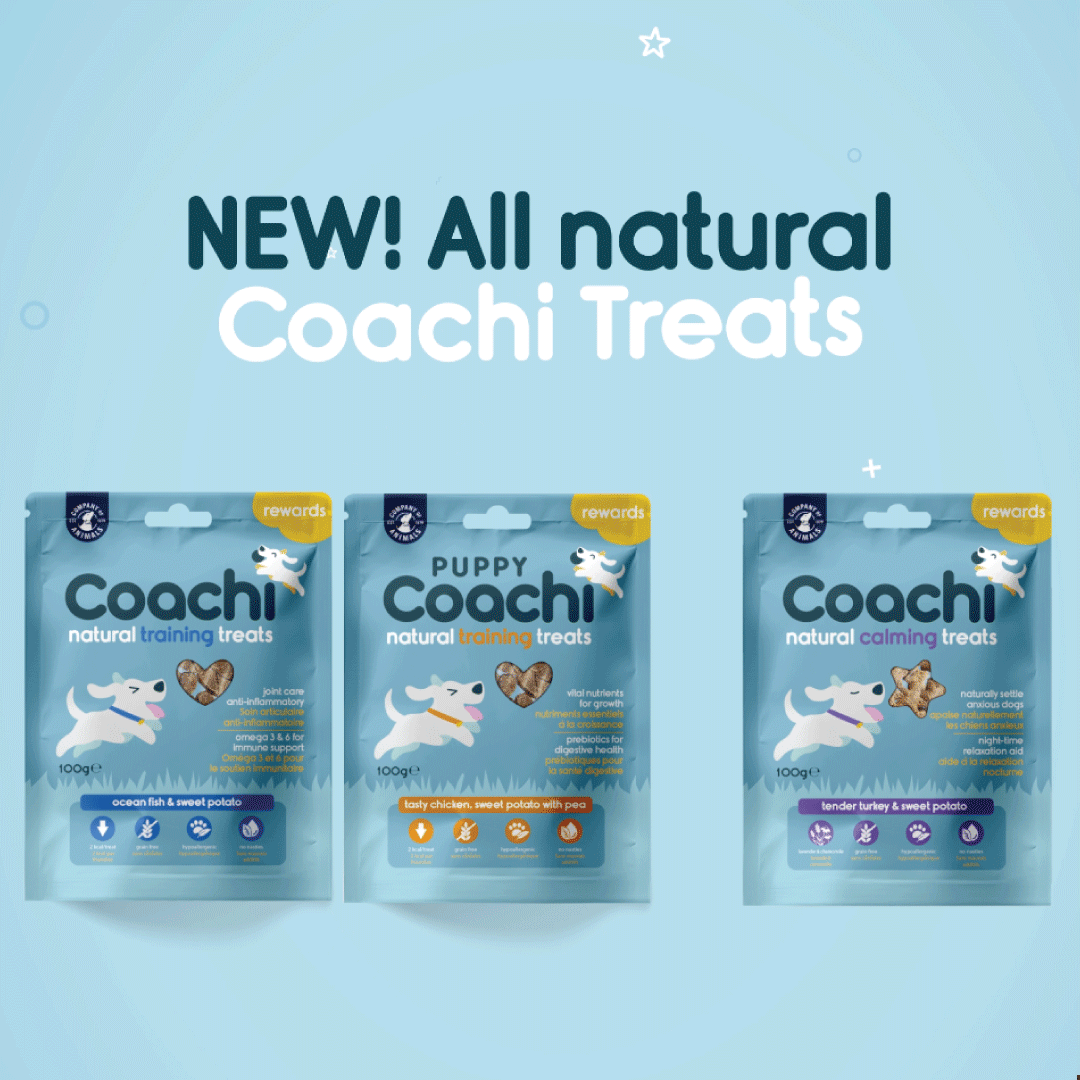 Coachi Treats Project