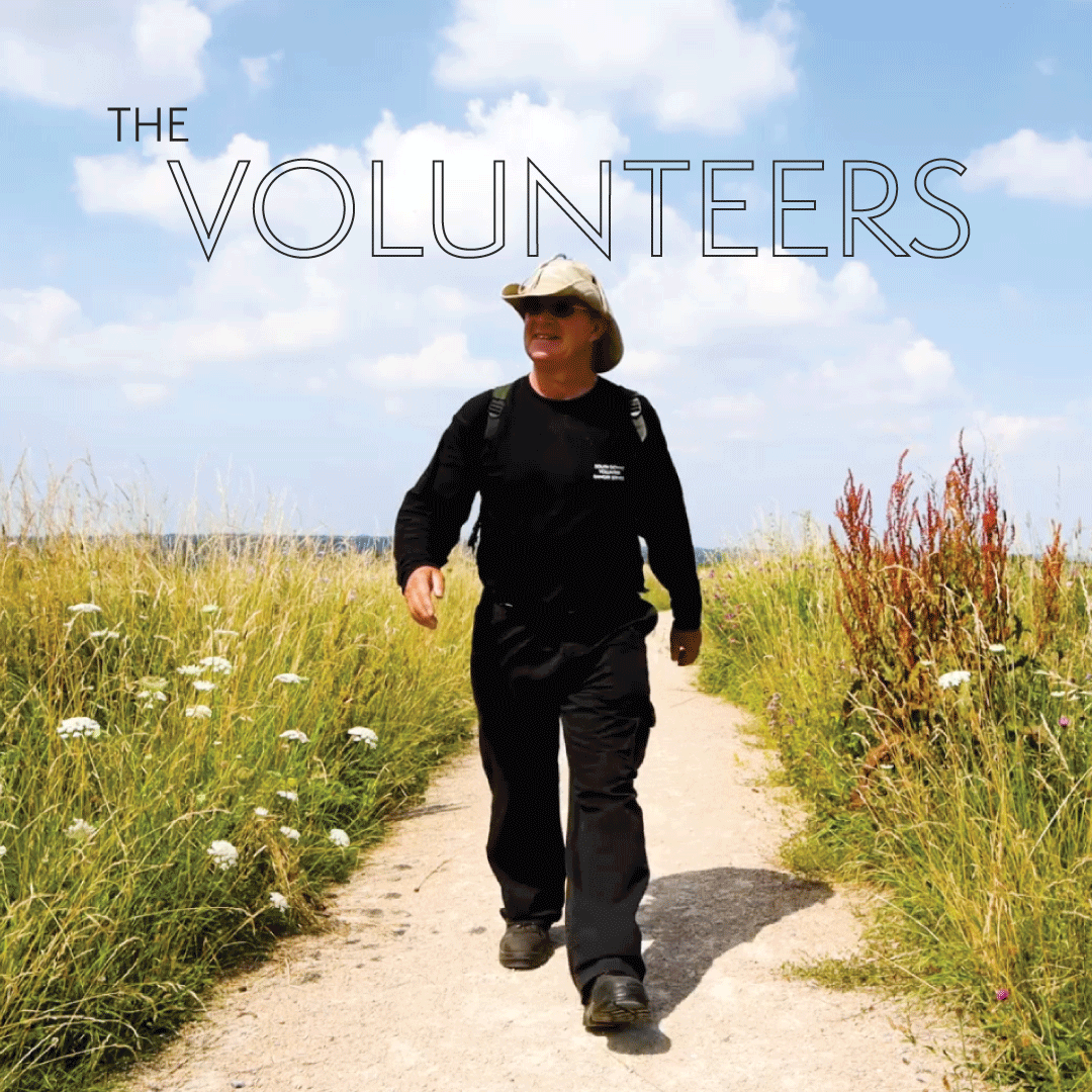 The Volunteers - South Downs National Park Project